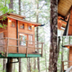 Illustration for article titled 13 Ingenious Treehouses That Go Out on a Limb